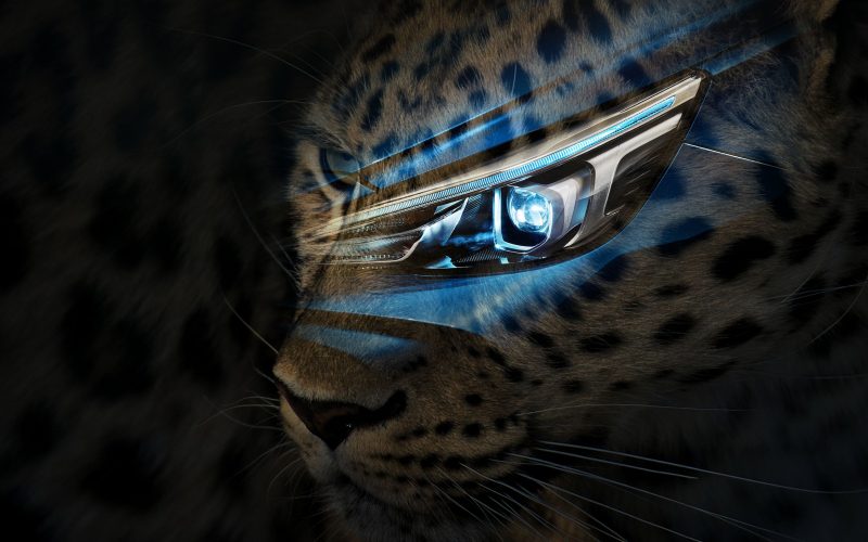 MG3, close up, exterior features, Animal, Mammal, Panther, Wildlife MG3, Animal, Mammal, Panther, Wildlife, Campaign, Car, MG3 Hybrid, close up, exterior, exterior features, Animal, Mammal, Panther, Wildlife
