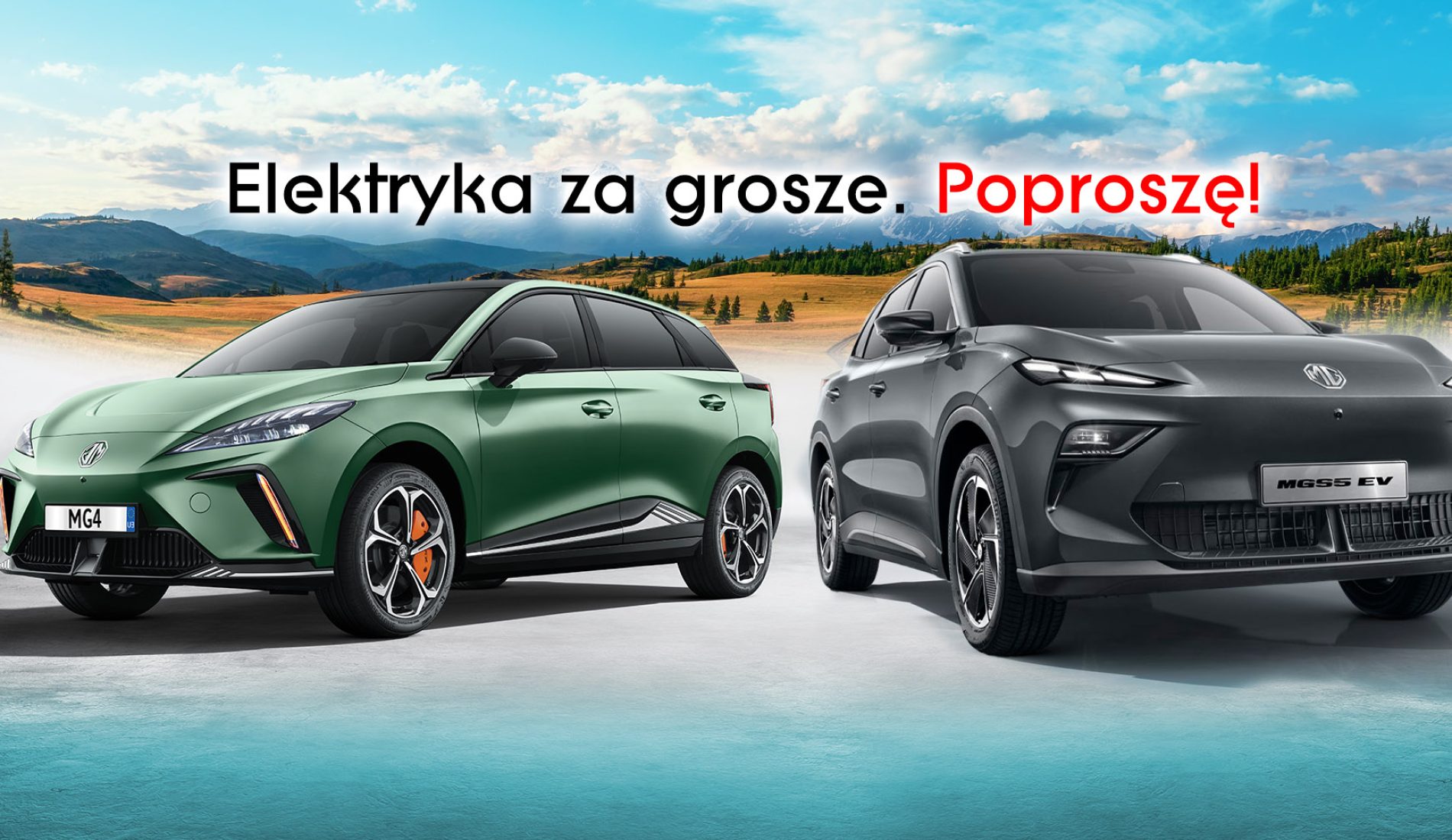 baner-promocja-elektryki-styczen-2026-111